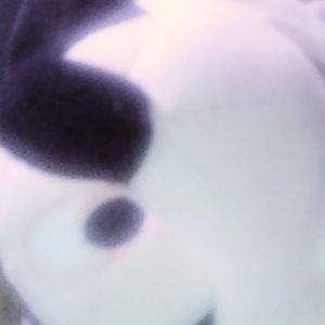 Meet your Posher, Chevetta